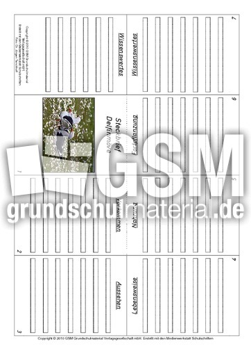Faltbuch-Delfinmöve.pdf